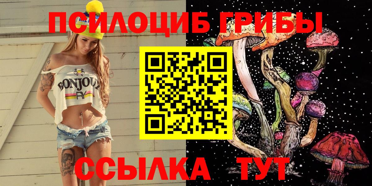 Псилоцибиновые грибы прущие грибы  Вход с VPN  Учалы 